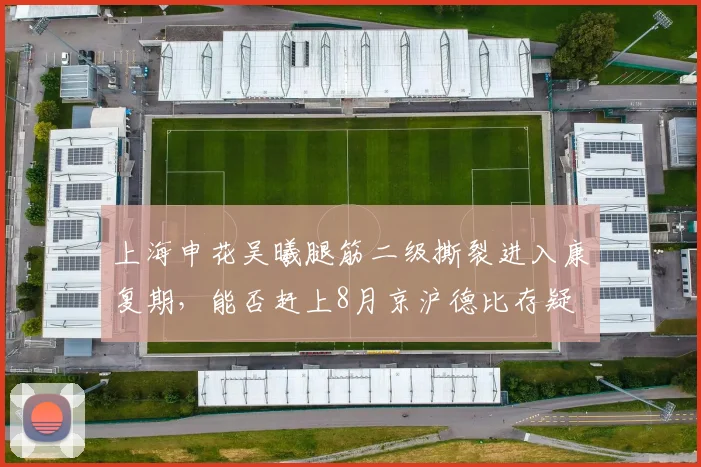 上海申花吴曦腿筋二级撕裂进入康复期，能否赶上8月京沪德比存疑