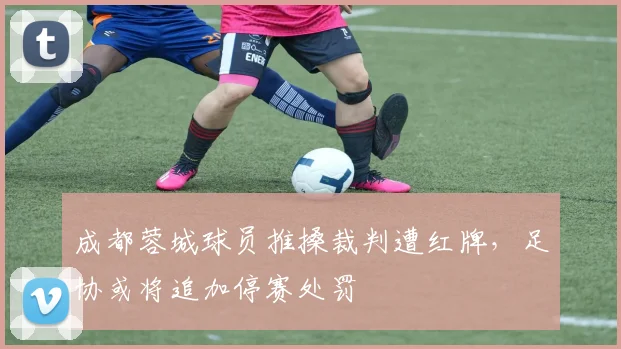 成都蓉城球员推搡裁判遭红牌，足协或将追加停赛处罚